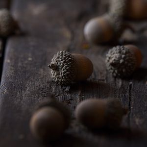 Preview wallpaper acorns, macro, brown