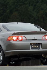 Preview wallpaper acura, rsx, 2002, gray, rear view, style, cars, trees