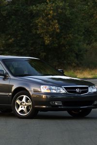 Preview wallpaper acura, tl, 2002, black, side view, style, cars, grass, trees, asphalt