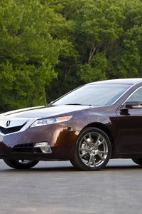 Preview wallpaper acura, tl, 2008, burgundy, side view, style, cars, trees