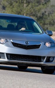 Preview wallpaper acura, tsx, 2008, gray metallic, front view, style, cars, nature, tree, asphalt