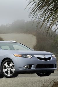 Preview wallpaper acura, tsx, 2010, blue, side view, style, cars, nature, shrubs, trees