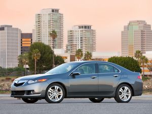 Preview wallpaper acura, tsx, v6, 2009, metallic gray, side view, style, cars, houses, palms, trees, asphalt, nature