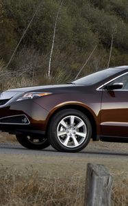 Preview wallpaper acura, zdx, 2009, brown, side view, style, cars, nature, shrubs, grass
