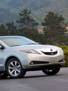 Preview wallpaper acura, zdx, 2009, silver metallic, side view, style, cars, forest, trees, grass