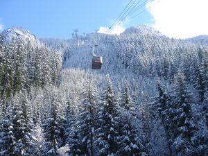 Preview wallpaper aerial lift, cabins, trees, winter