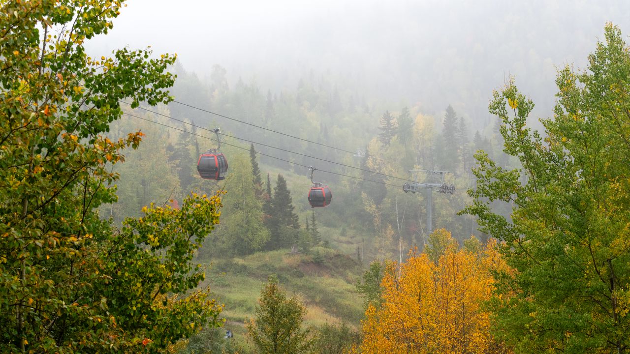 Wallpaper aerial lift, trees, autumn, fog, nature