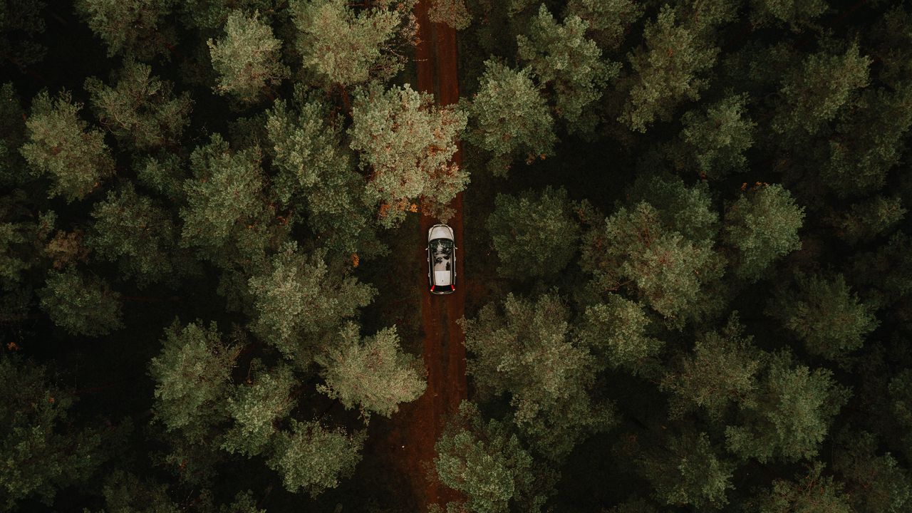 Wallpaper aerial view, car, forest, trees, road