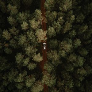 Preview wallpaper aerial view, car, forest, trees, road