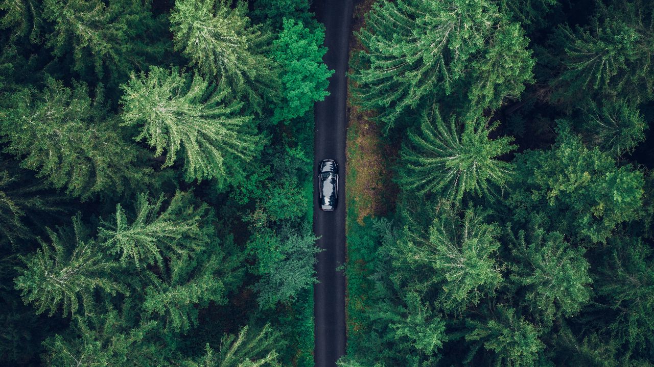 Wallpaper aerial view, car, trees, forest