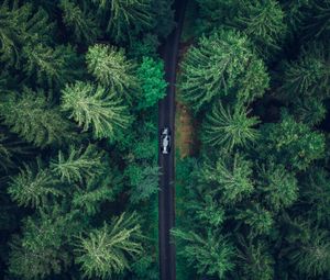 Preview wallpaper aerial view, car, trees, forest