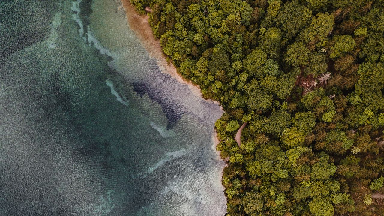 Wallpaper aerial view, coast, trees, forest, sea