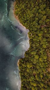 Preview wallpaper aerial view, coast, trees, forest, sea