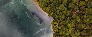 Preview wallpaper aerial view, coast, trees, forest, sea