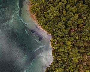 Preview wallpaper aerial view, coast, trees, forest, sea