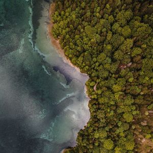 Preview wallpaper aerial view, coast, trees, forest, sea