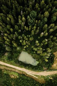 Preview wallpaper aerial view, road, trees, forest