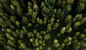 Preview wallpaper aerial view, road, trees, forest