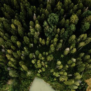 Preview wallpaper aerial view, road, trees, forest