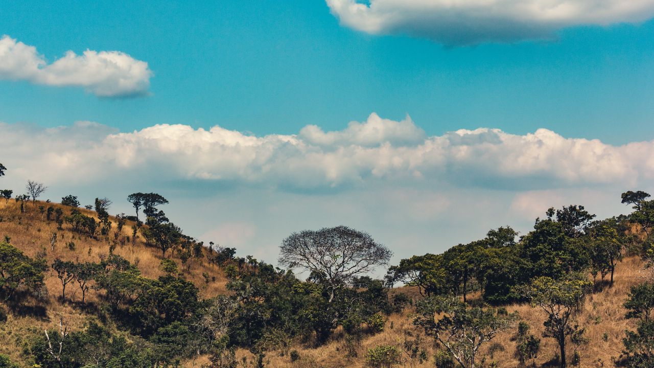 Wallpaper africa, hills, trees, clouds