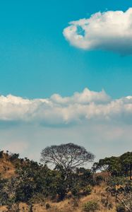 Preview wallpaper africa, hills, trees, clouds