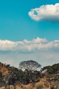 Preview wallpaper africa, hills, trees, clouds