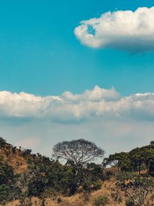 Preview wallpaper africa, hills, trees, clouds