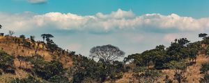 Preview wallpaper africa, hills, trees, clouds