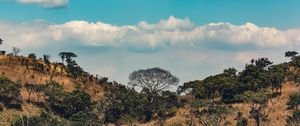 Preview wallpaper africa, hills, trees, clouds