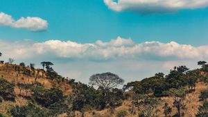 Preview wallpaper africa, hills, trees, clouds