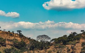 Preview wallpaper africa, hills, trees, clouds