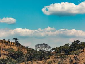 Preview wallpaper africa, hills, trees, clouds