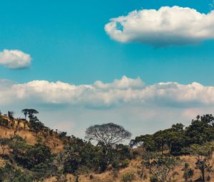 Preview wallpaper africa, hills, trees, clouds