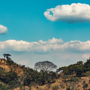 Preview wallpaper africa, hills, trees, clouds