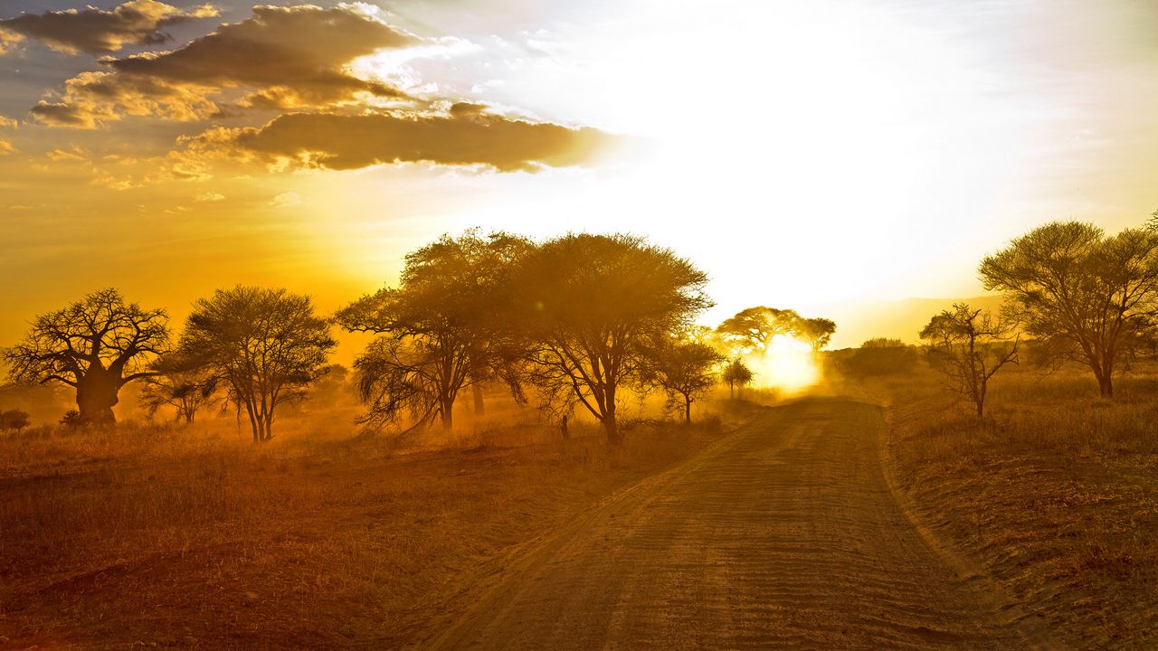 Wallpaper africa, road, sunrise, sand, trees