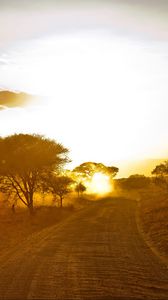 Preview wallpaper africa, road, sunrise, sand, trees