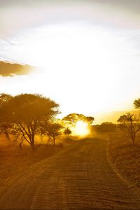 Preview wallpaper africa, road, sunrise, sand, trees