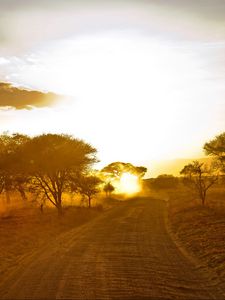 Preview wallpaper africa, road, sunrise, sand, trees