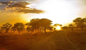 Preview wallpaper africa, road, sunrise, sand, trees