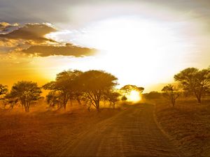 Preview wallpaper africa, road, sunrise, sand, trees