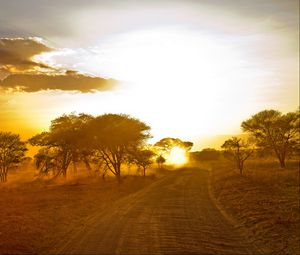 Preview wallpaper africa, road, sunrise, sand, trees