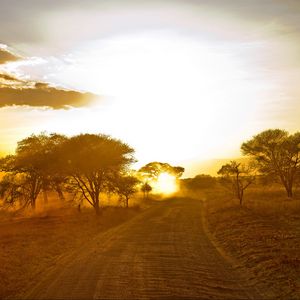 Preview wallpaper africa, road, sunrise, sand, trees