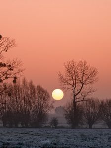 Preview wallpaper africa, sunset, fog, trees