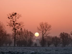 Preview wallpaper africa, sunset, fog, trees