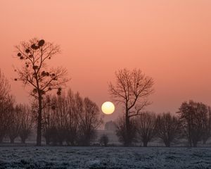 Preview wallpaper africa, sunset, fog, trees