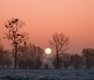 Preview wallpaper africa, sunset, fog, trees