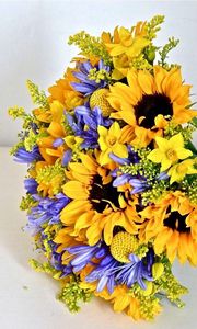 Preview wallpaper agapanthus, sunflowers, bouquet, composition, colors