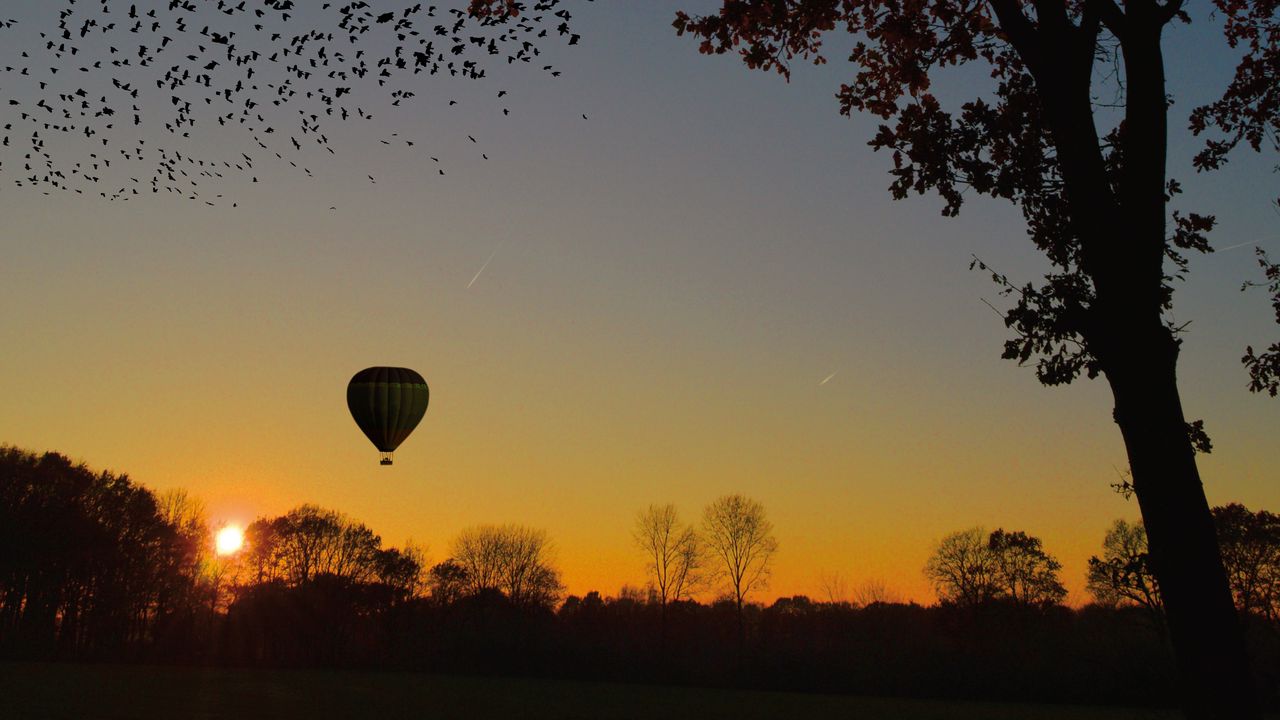 Wallpaper air balloon, aerostat, tree, sunset, foliage, horizon