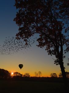 Preview wallpaper air balloon, aerostat, tree, sunset, foliage, horizon