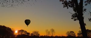 Preview wallpaper air balloon, aerostat, tree, sunset, foliage, horizon